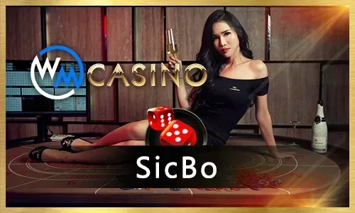 Guide to new online slots